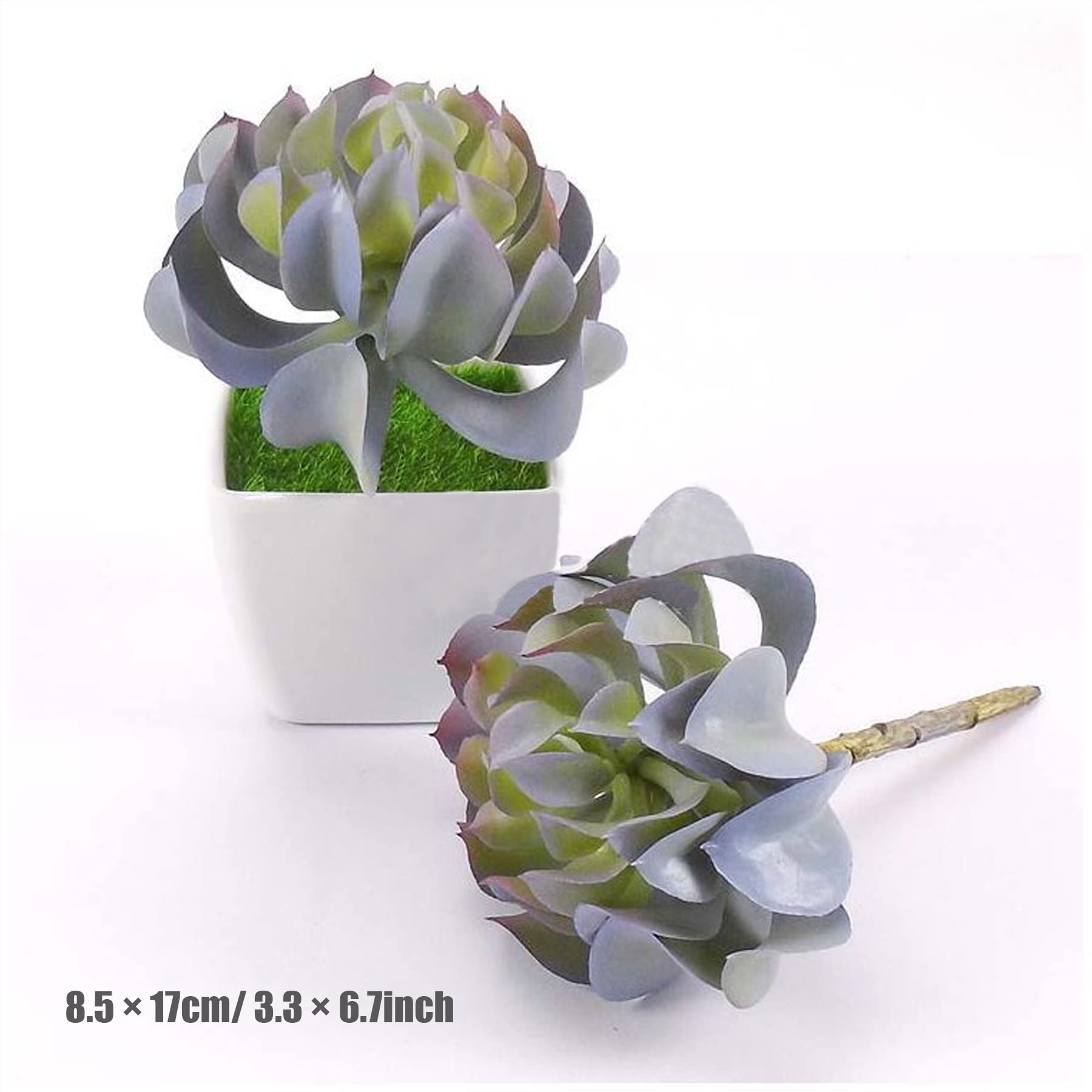 Woohome Piante Succulente Artificiali 20 Pz Succulente Artificiali Misti Piante Grasse Finte Decorative per La Decorazione del Paesaggio Decorazioni,Casa Giardino Decorazioni