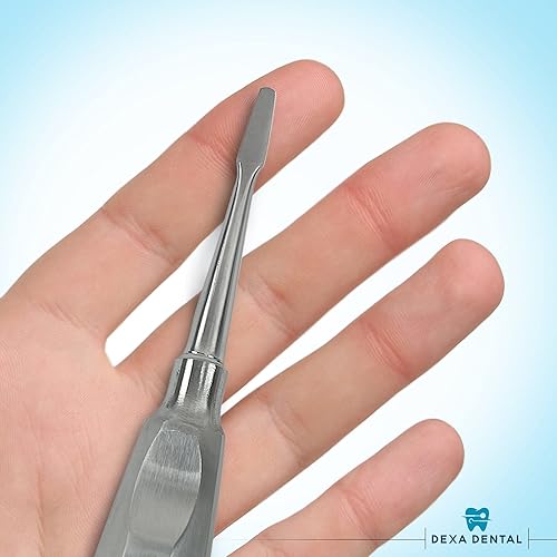 Miniatura 7 de DEXA DENTAL Elevadores Instrumentos Osteotome Periotome Luxating Elevator Apical Molt Implante Oral, Extracción Quirúrgica de Raíz - 2 Piezas