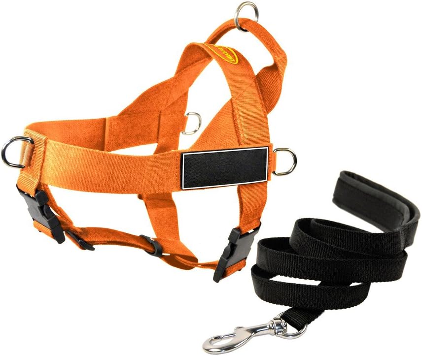 Dean & Tyler DT Universal No Pull Dog Harness with Black Patches and Puppy Leash, Orange, X-Large