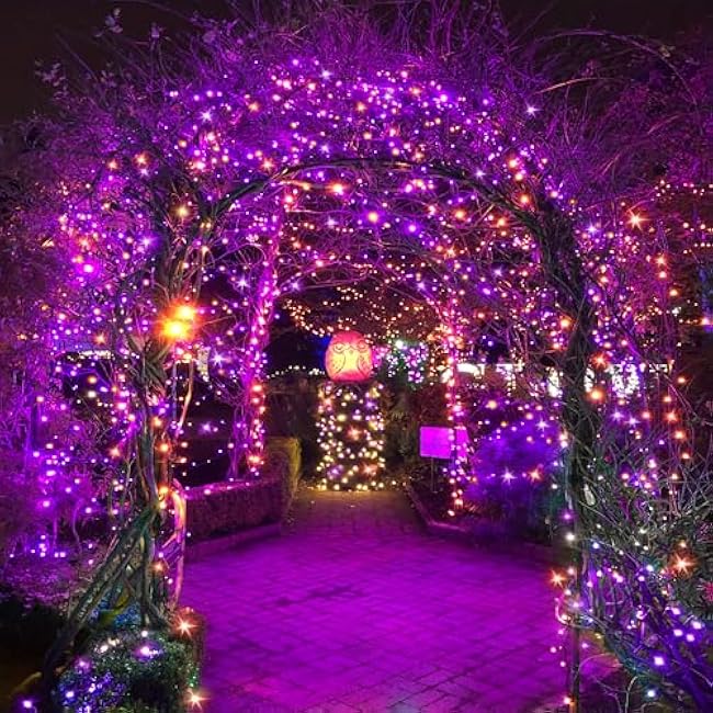 Halloween 300 LED String Lights,105FT String Lights with 8 Modes&Timer Function, Purple and Orange Halloween Lights Plug in for Party Carnival Supplies, Outdoor/Indoor Yard Garden Decor