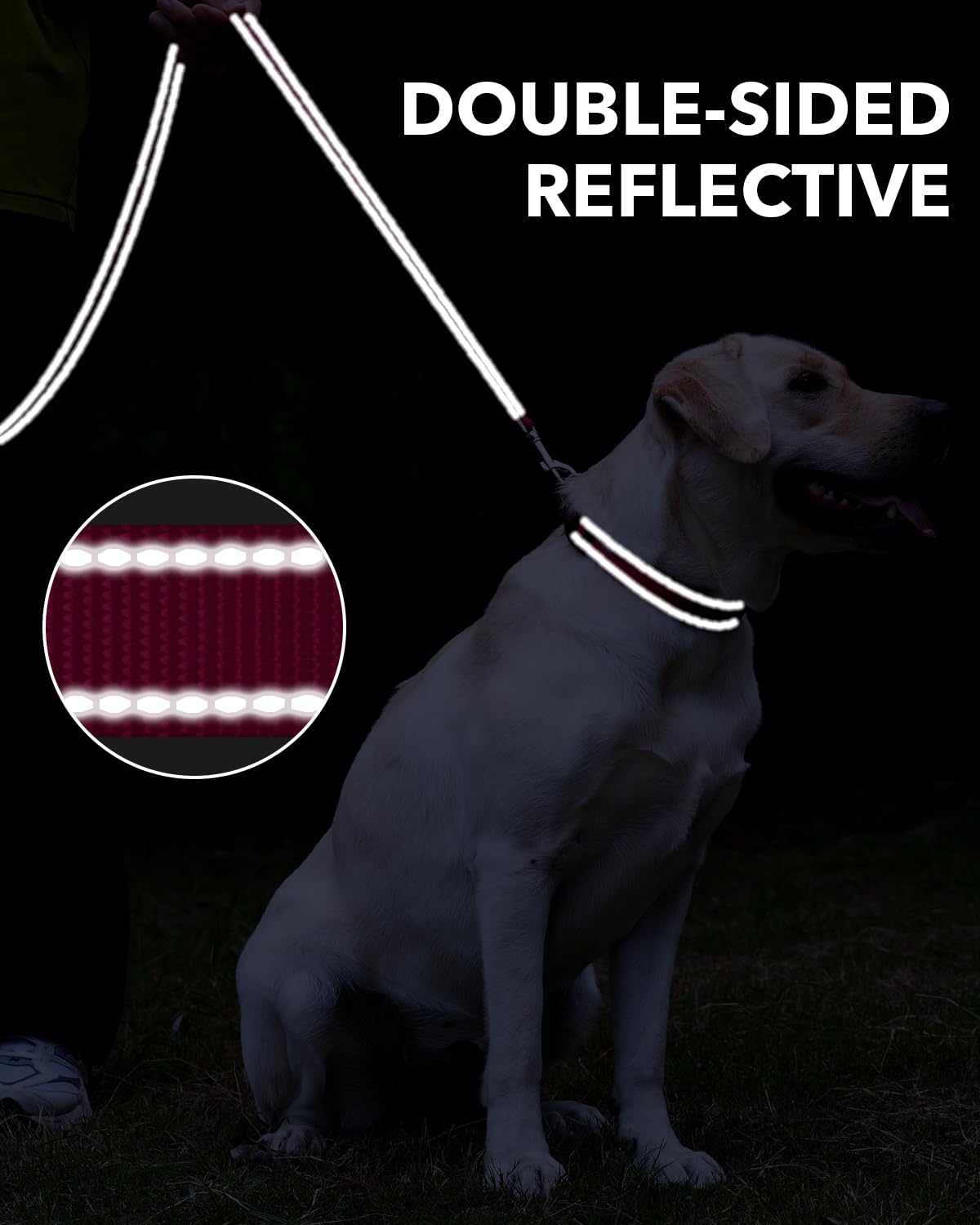Taglory Guinzaglio per Cani Riflettente con Manico Imbottito e Gancio in Metallo, Nylon Resistente Addestramento Cane Guinzaglio, 1.2 m x 2.0 cm, Rosa Caldo