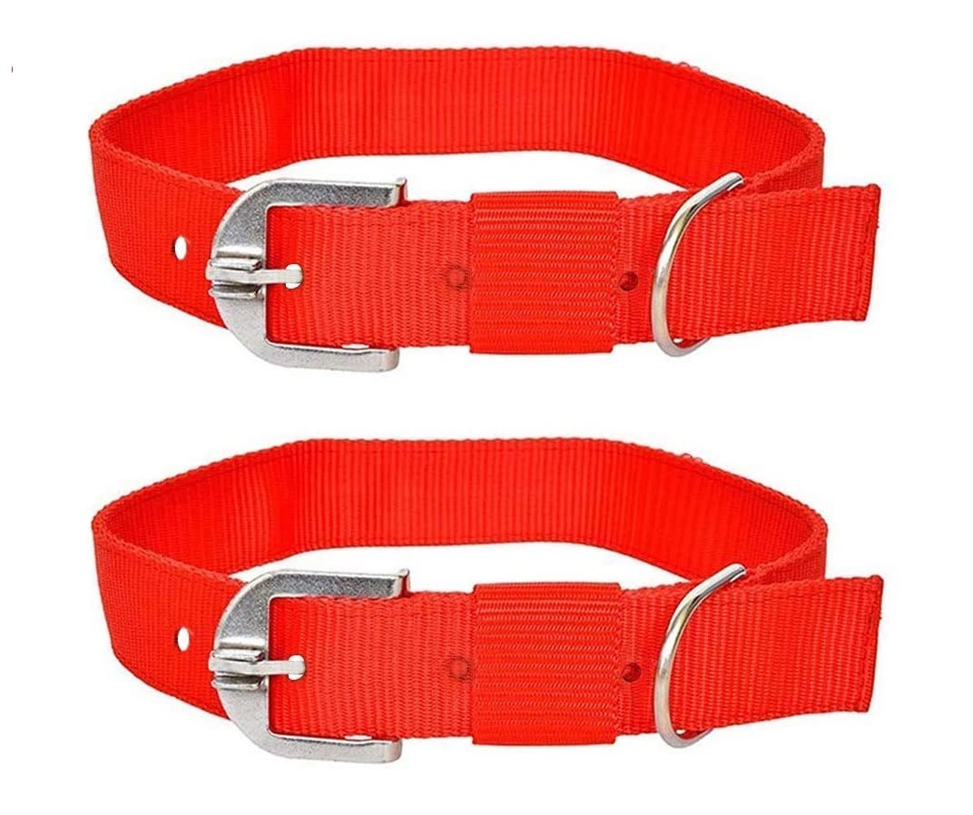 HAPPY4PETS Adjustable Nylon Dog Collar Belt for Medium Breeds - Durable & Comfortable Fit Pack of 2 (Medium Size) (1Inch Plain Collar (Set of 2)) (B0BTHLVGTR) Amazon Price History, Amazon Price Tracker
