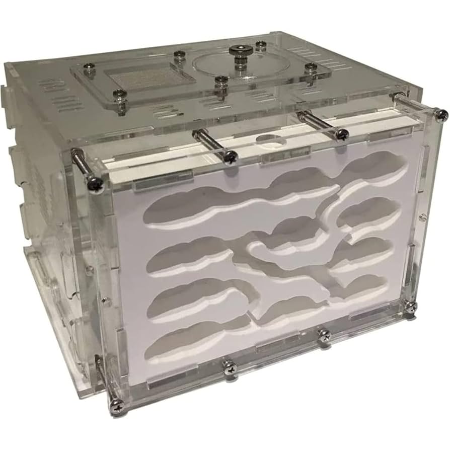 Amazon.co.jp: アリ飼育キット 石膏製巣箱 透明アクリル製ケース