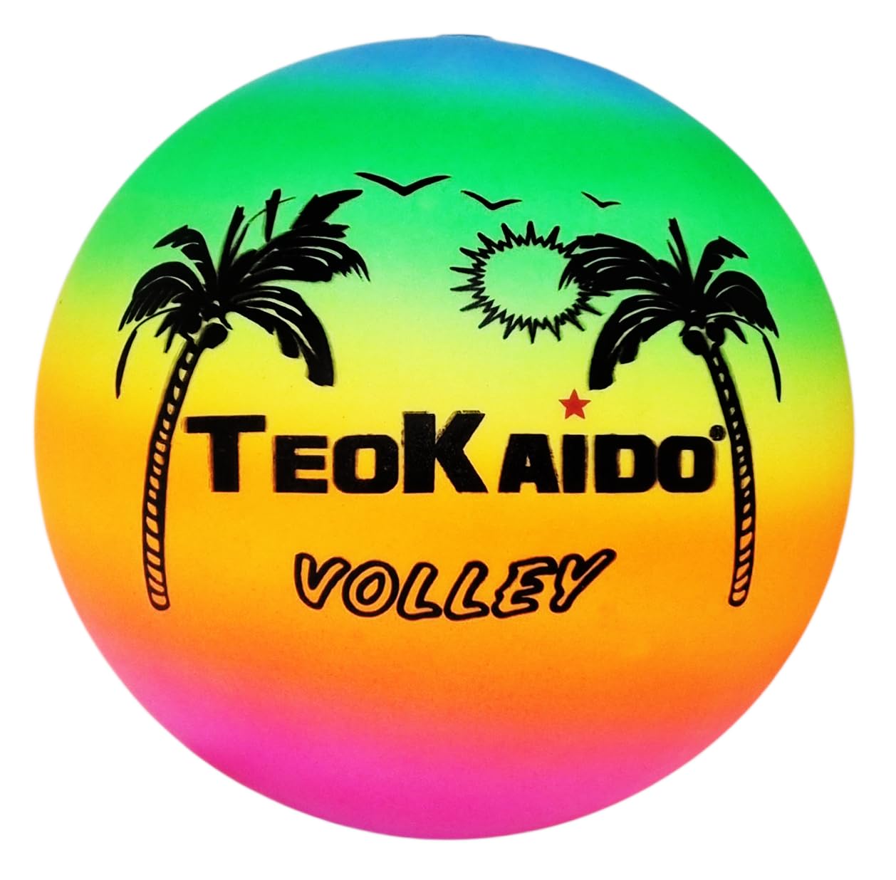 Pallone da Volley Beach Volley In Gomma Soft Leggero Modello Rainbow Palme da Allenamento o Partita