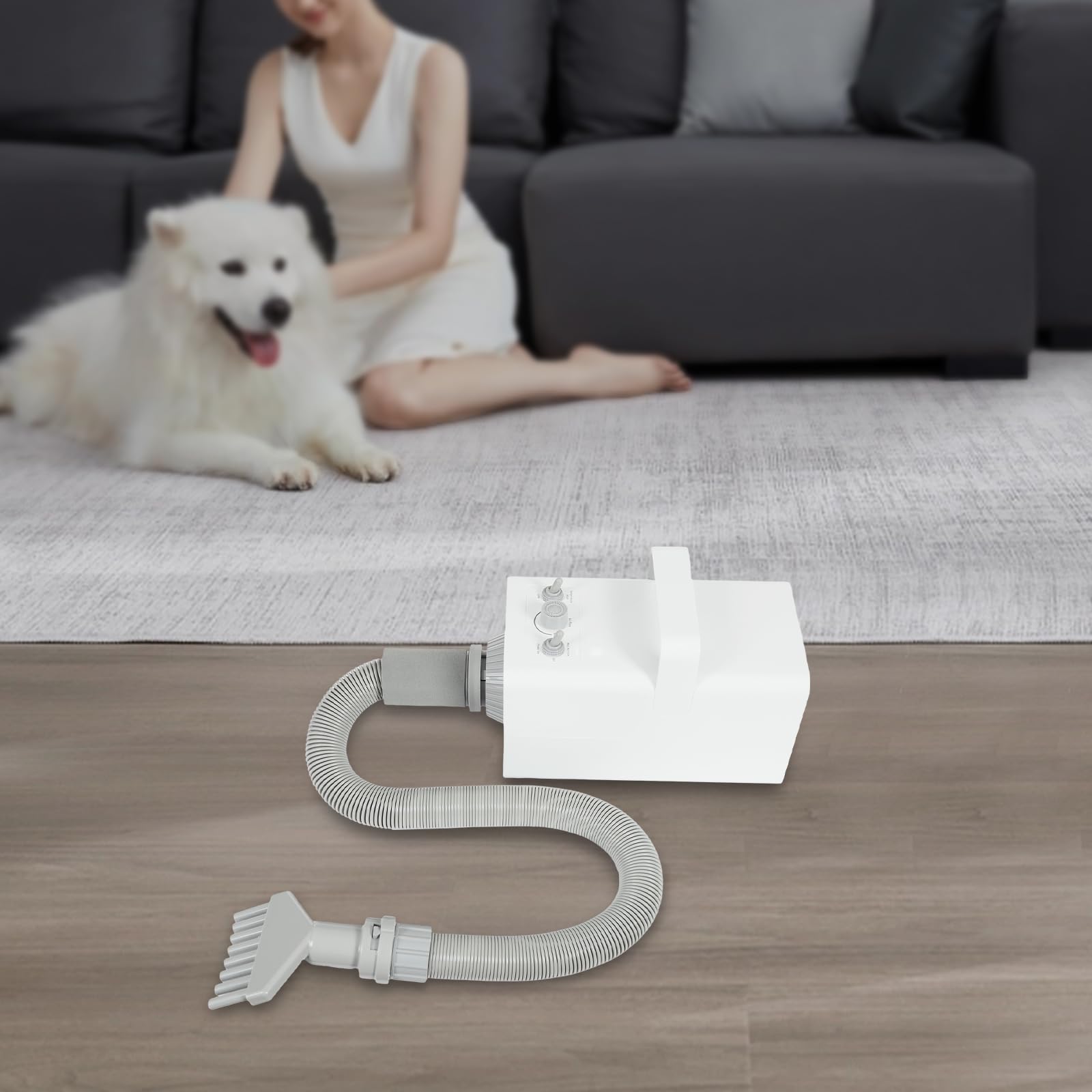Asciugacapelli per cani, 2800 W, 57 dB, 68 m/s, silenzioso