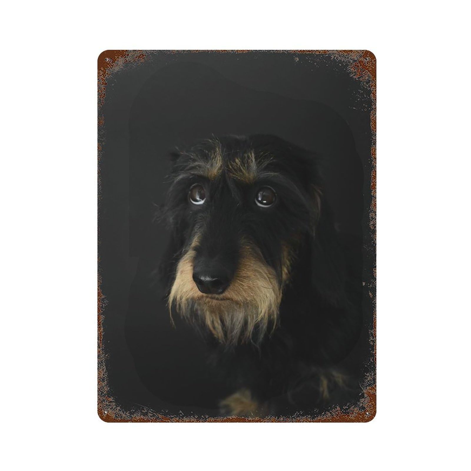 Dachshund Portrait 15.7"x11.8" Decorative Tin Sign, Retro Wall Decor for Garage, Bar And Workshop Decor