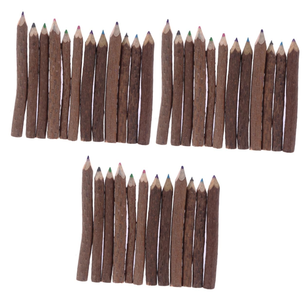 24pièces Crayons De Couleur Branches De Ensemble De Crayons Artistiques Pour Événements Créatifs