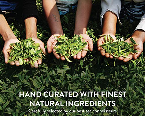 Teamonk Global Bustine di Tisana Allo Zenzero