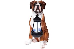 Bits and Pieces Solar-Powered Boxer Dog Statue Lantern