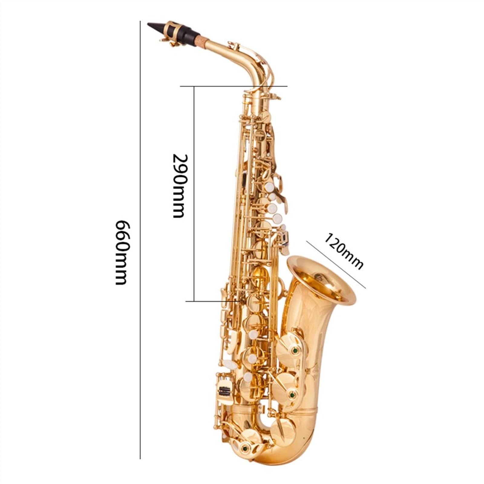 Saxophon Student Es-Alt-Saxophon, Messing, Goldlack, E-Flat-Saxophon, Holzblasinstrument Mit Zubehör