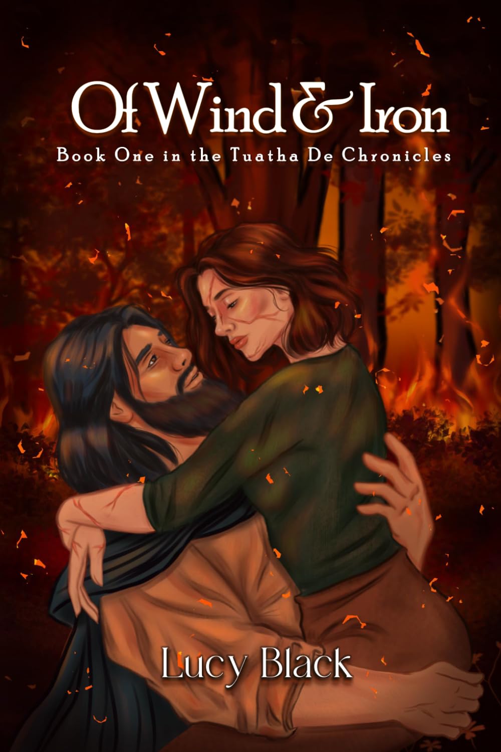 Of Wind and Iron: a Fantasy Romance (The Tuatha De Chronicles)