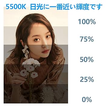 Amazon | FOSITAN 【省エネ版】 ソフトボックス 50×70cm 写真