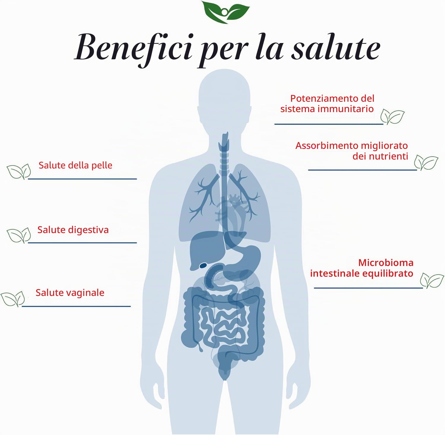 Foods For Gut Lactobacillus Gasseri Probiotic Powder 200 Billion cfu's | Made in USA | Weight Control | Promote a Well-Balanced microbiome | High Potency | L.Gasseri | 30 Grams (1.05 Oz)