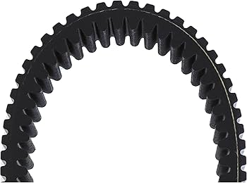 Amazon.com: All Balls Racing 25-9019 CVT Belt Compatible With