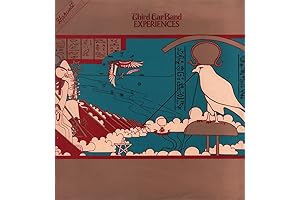 Experiences: The Band Music from Big Pink Vinyl