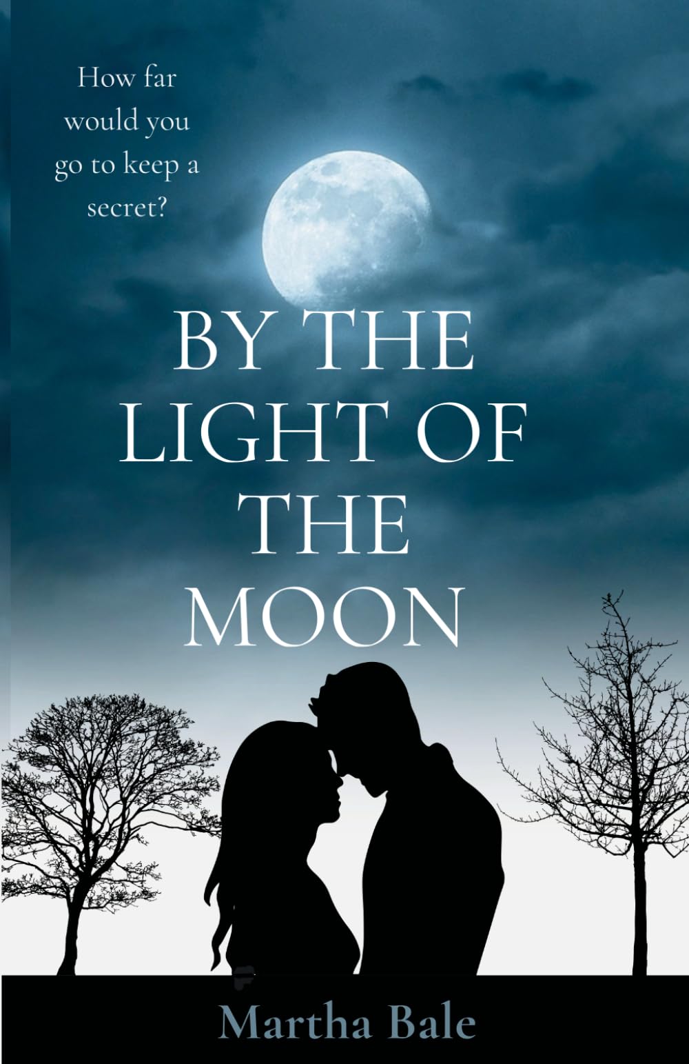 By The Light Of The Moon