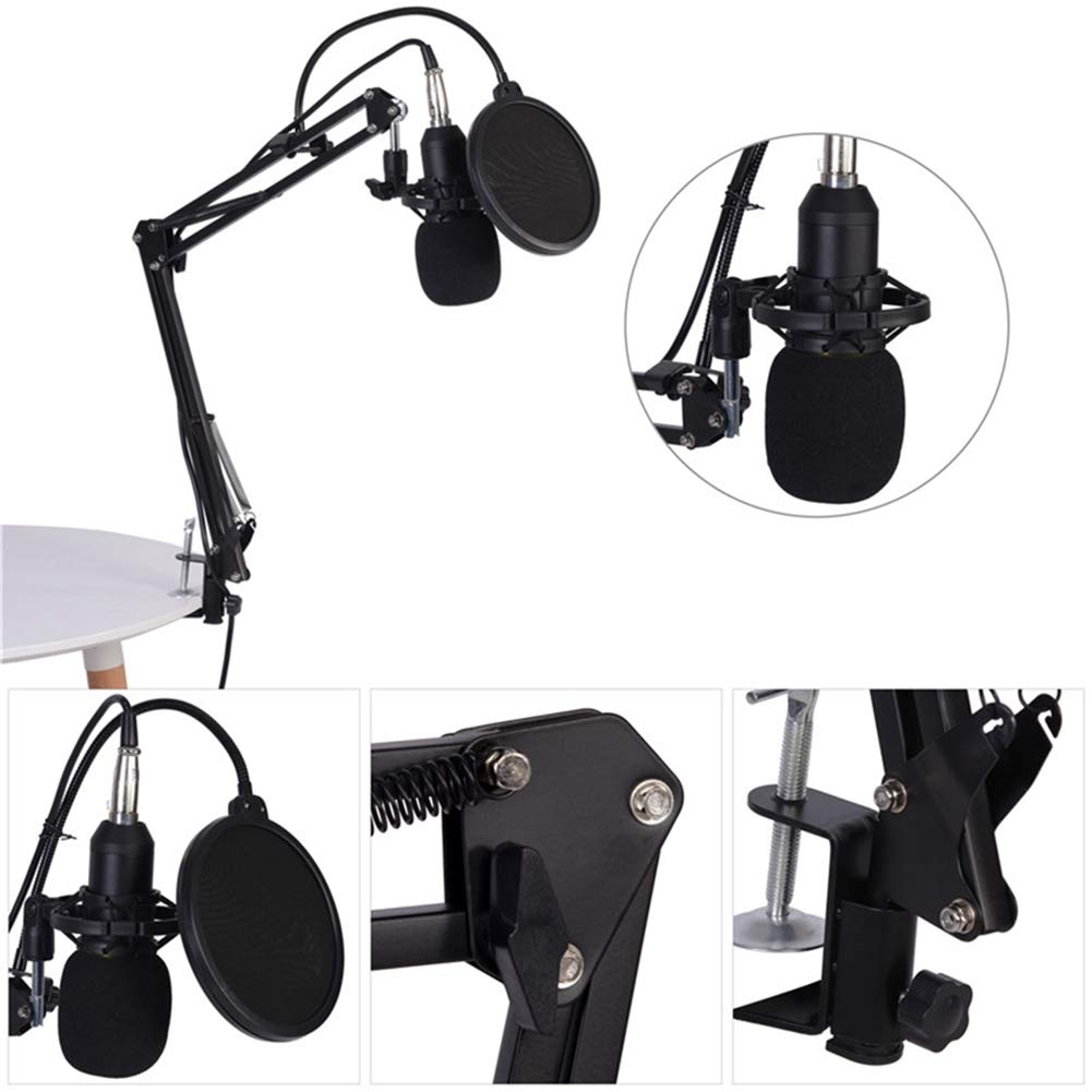 BM800 Microfono a Condensatore con Shock Mount, Microfono Professionale a Condensatore con Braccio Regolabile, Professionale Studio Radiotelevisivo & Registrazione Microfono Set