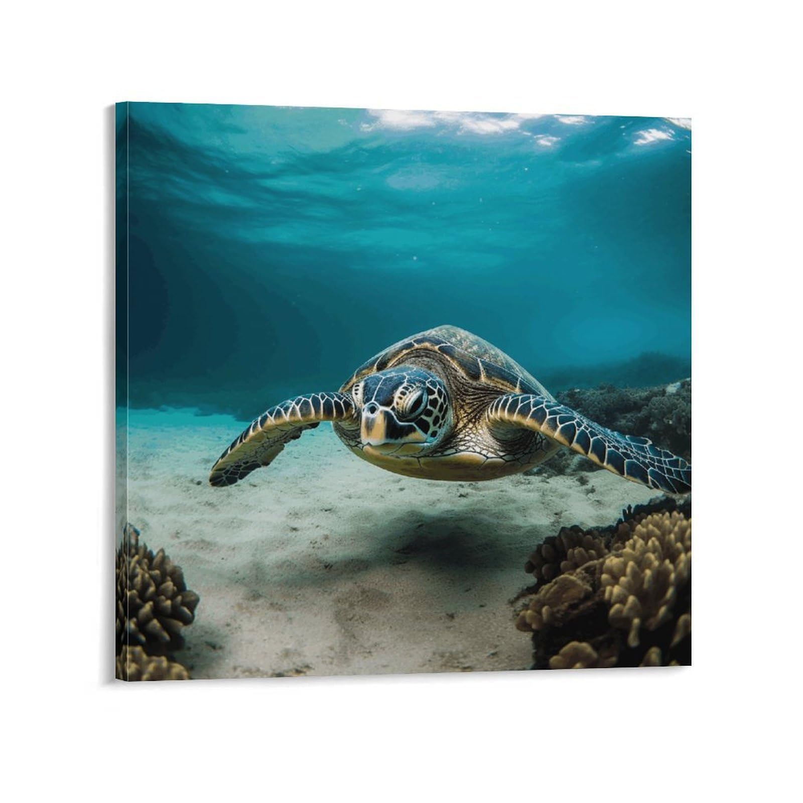KLOPH Underwater Diving Sea Turtle Canvas Wall Art for Living Room 10x10inch Modern Artwork Painting for Bathroom Hanging Canvas Prints Aesthetic Wallart for Bedroom Kitchen Office Wall Decor