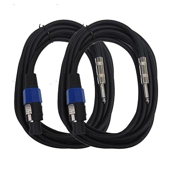 Seismic Audio Speakers Speakon to 14 TRS Patch Cables, 15 Feet