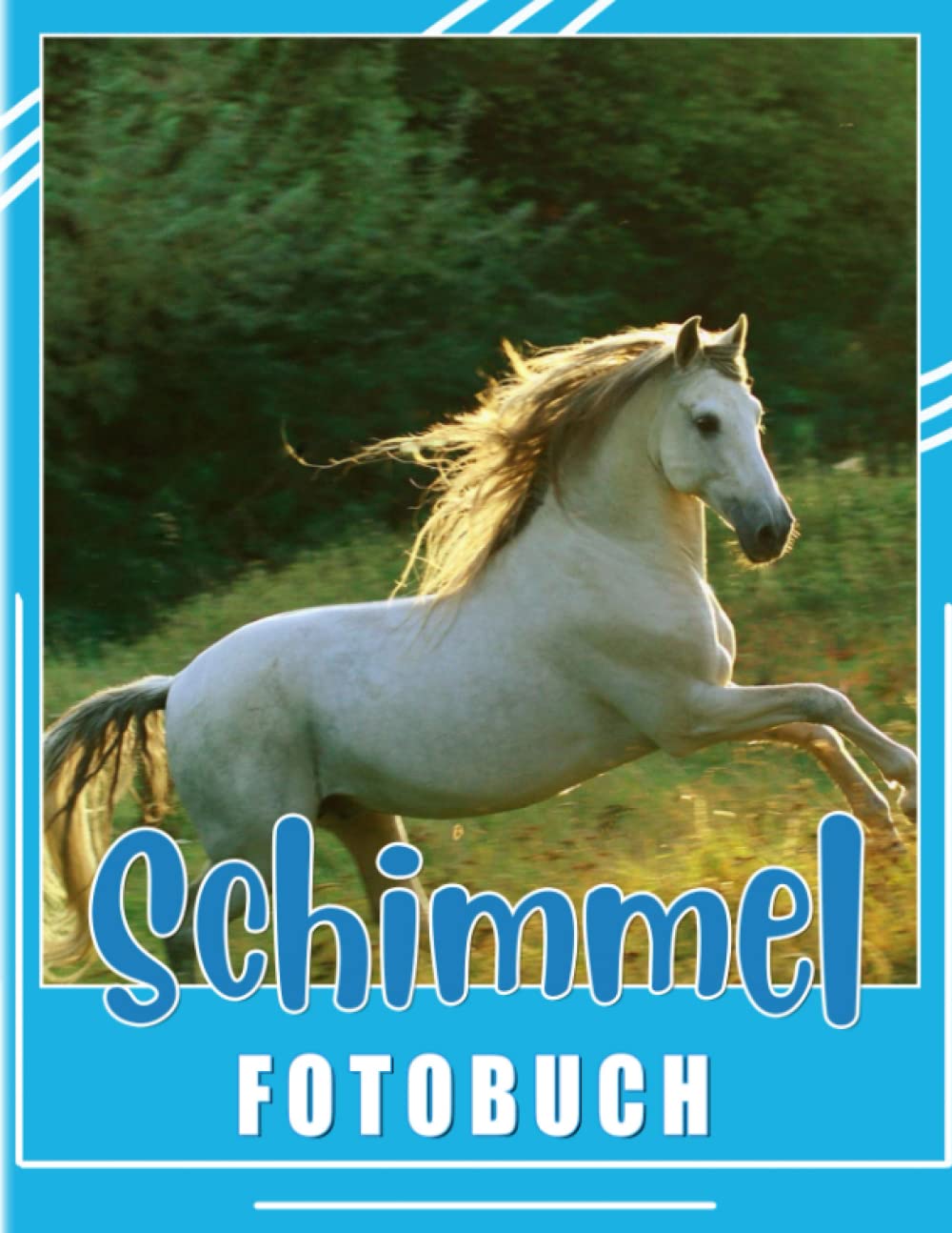 Schimmel Fotobuch: Fotoalbum Sammlung Bilder Von Pferden für Erwachsene Zur Entspannung | 40 Hochwertige Seiten | Tolle Geschenke für Jeden Anlass (German Edition)