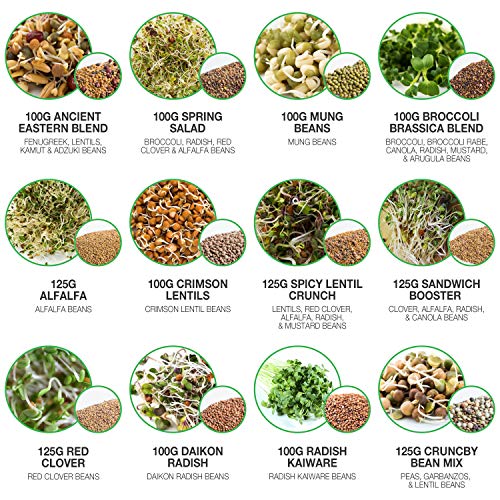 Mumm's Sprouting Seeds - Boosted Sample Pack - 1,325 GR - Organic Sprout Seed Kit - Broccoli, Radish, Alfalfa, Mung Bean