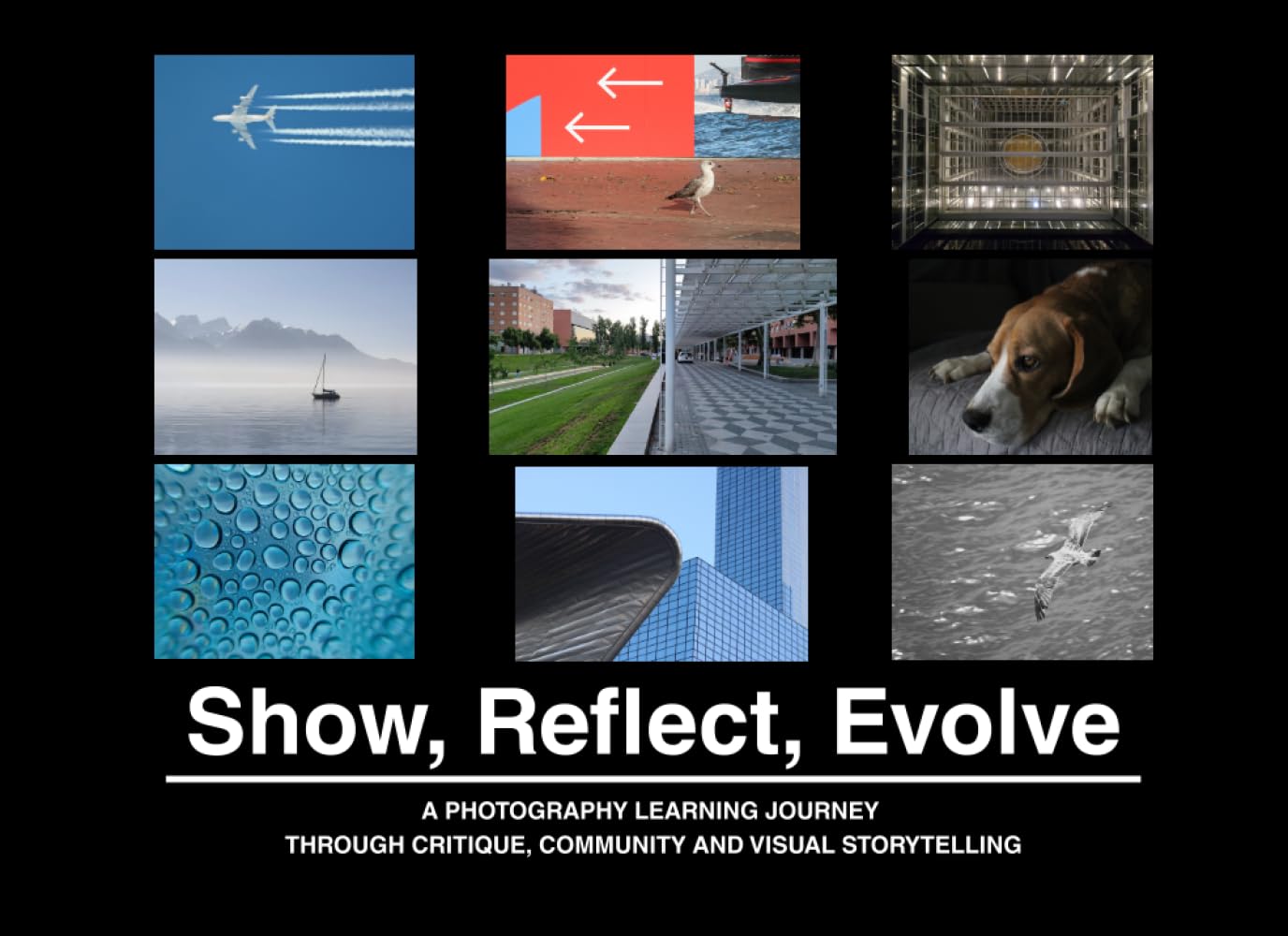 Show, Reflect, Evolve: A PHOTOGRAPHY LEARNING JOURNEY THROUGH CRITIQUE, COMMUNITY AND VISUAL STORYTELLING