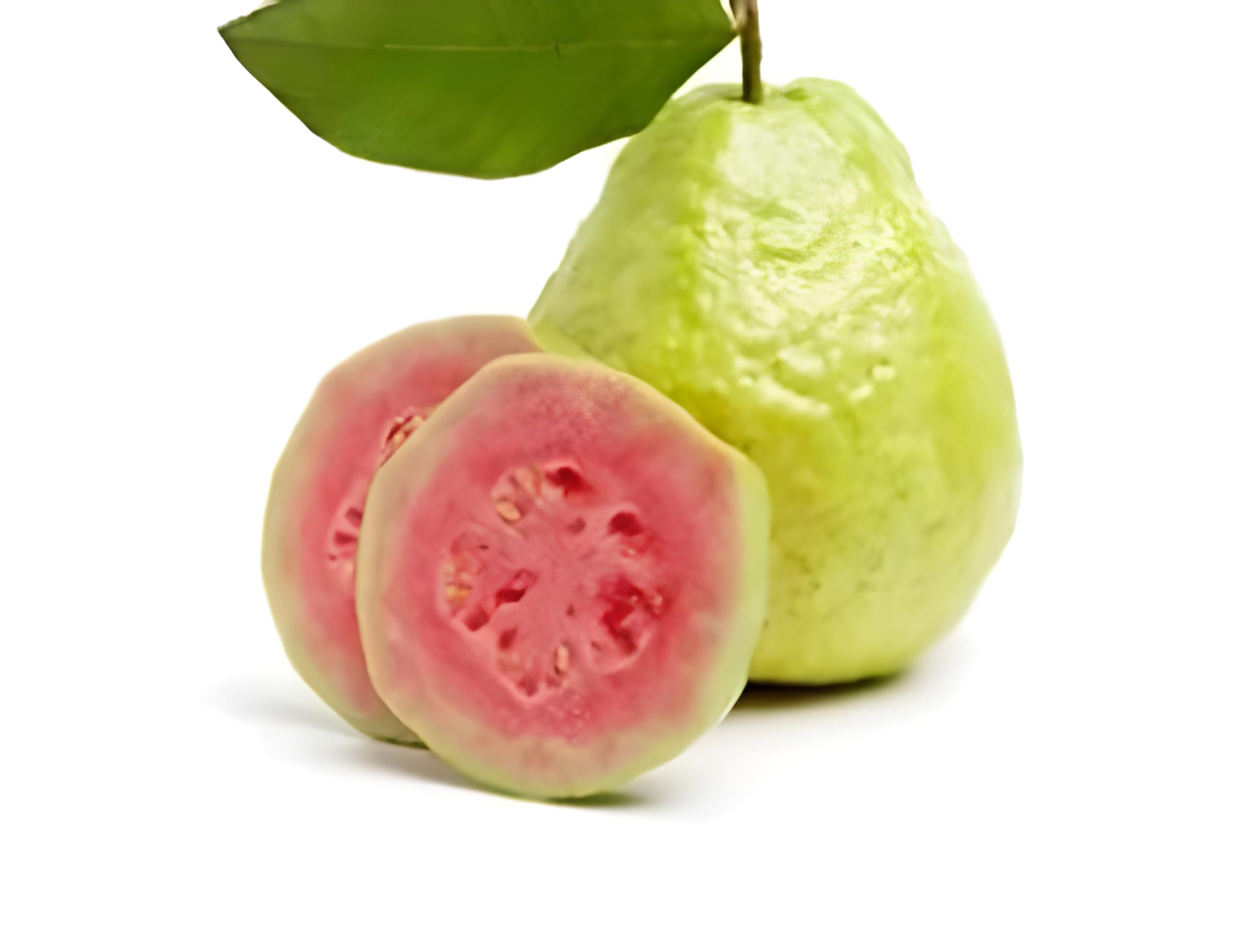 See full amazon price history chart for Green view "Arka Kiran pink "Clone Type Hybrid Guava - 1 Healthy Live Red Indian Amrood Fruit Plant 1.5-2 Ft Height in Nursery Grow Bag for Home Garden Green view "Arka Kiran pink "Clone Type Hybrid Guava - 1 Healthy Live Red Indian Amrood Fruit Plant 1.5-2 Ft Height in Nursery Grow Bag for Home Garden (B0BXKZ3NBL) Amazon Price History, Amazon Price Tracker