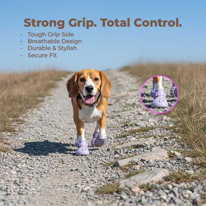 Image of Anti Skid Paw Protector Dog Boots for Hot Summer for Maltese | Waterproof Eva Pet Shoes Anti-Slip | Soft & Lightweight Dog Footwear - Size 7 - Purple