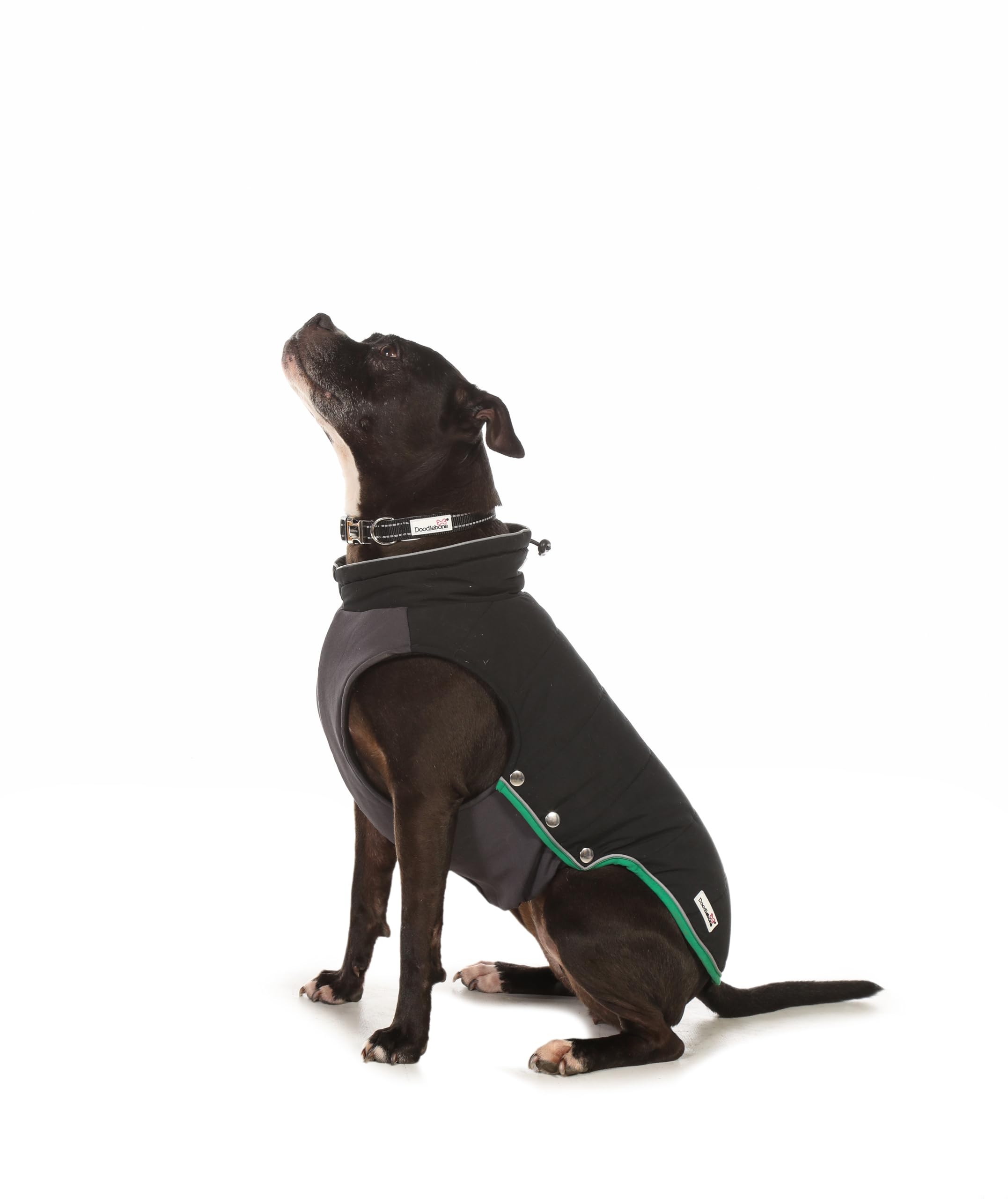Doodlebone Dog Puffer Jacket (Coal, 5-7) - Image 2