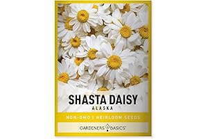 Gardeners Basics Non-GMO Shasta Daisy Flower Seeds