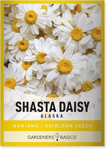 Gardeners Basics, Semillas de flores de margarita blanca Shasta para plantar (Alaska, Chrysanthemum Maximum) reliquia perenne, variedad de semillas