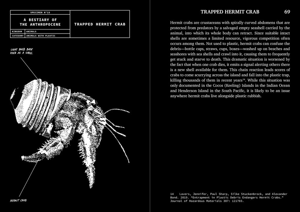 A Bestiary of the Anthropocene: Hybrid plants, animals, minerals, fungi, and other specimens