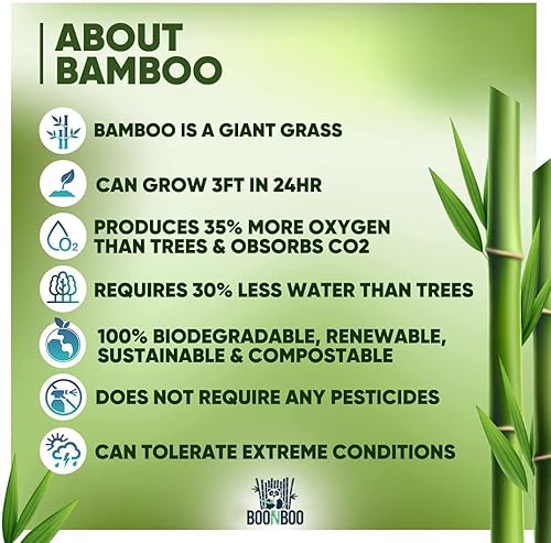 Miniatura 6 de BOONBOO Cepillos de dientes  Paquete de 4 cepillos de dientes de bambú  Cerdas medianas  Autopermanente  Natural, sostenible, biodegradable