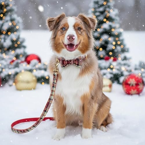 Miniatura 68 de PETDURO Collar de perro personalizado con nombre y teléfono grabado en hebilla de metal – Personalizado para perros medianos y grandes – Impresiones