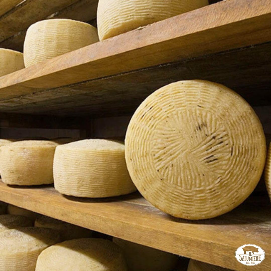 Queso Canestrato Pugliese DOP gr.500 SV - Sazonado - Productos lácteos Fabricación artesanal - Seleccionado por El Salumiere 1978