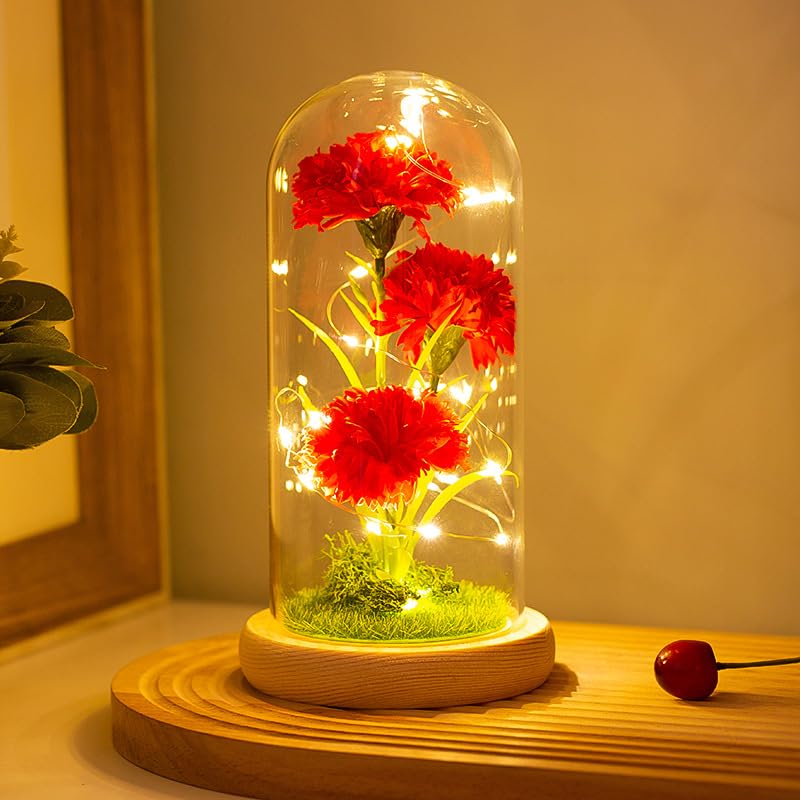 Oeillet rouge avec lumière LED, fleurs artificielles intemporelles dans un dôme transparent, base en bois pour éclairer les fleurs, anniversaire,Saint...