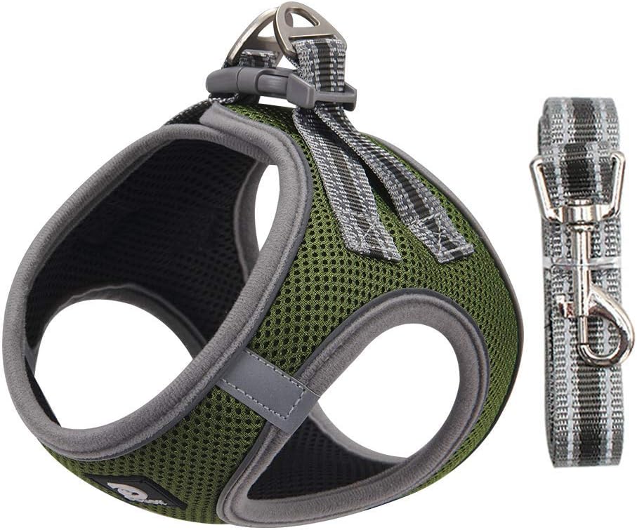Pet Supplies Didog Reflective Cat Harness and Leash Set, Step in Small