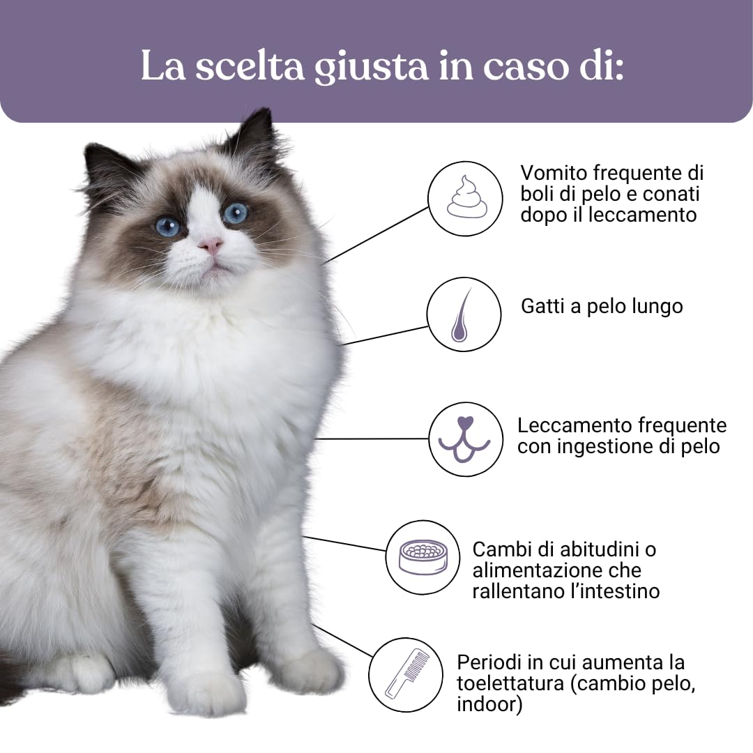 Miào Stop Boli di Pelo Gatto Pasta – Supporto Intestinale per Eliminare Boli di Pelo, Riduce Rigurgiti con Fibre e Psillio, Pasta al Malto per Gatti Bolo di Pelo