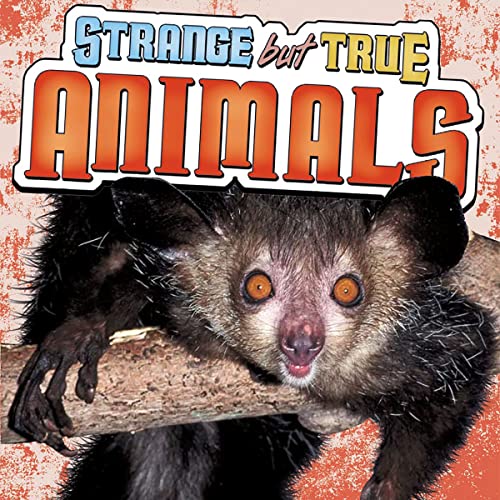 Strange but True Animals by Lori Polydoros episode artwork