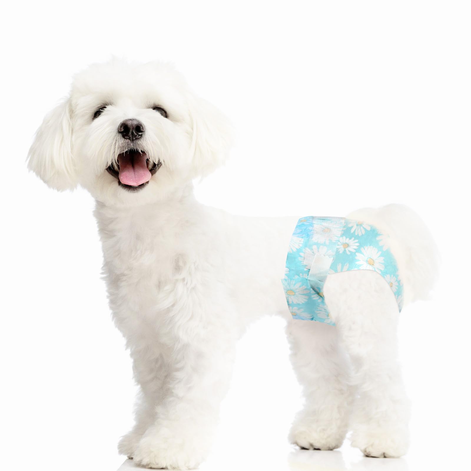 Ambreview Disposable Dog Diapers for Female Dogs, Super Absorbent Leak-Proof Dog Diapers with Wetness Indicator, Doggie Puppy Diapers for Small Dog in Heat, Excitable Urination, Training 10 Counts