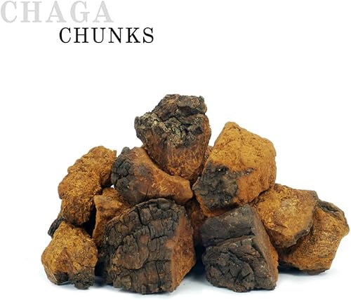 Miniatura 3 de Trozos enteros de hongos chaga siberianos cosechados salvajes 12 onzas (11.99 oz.)