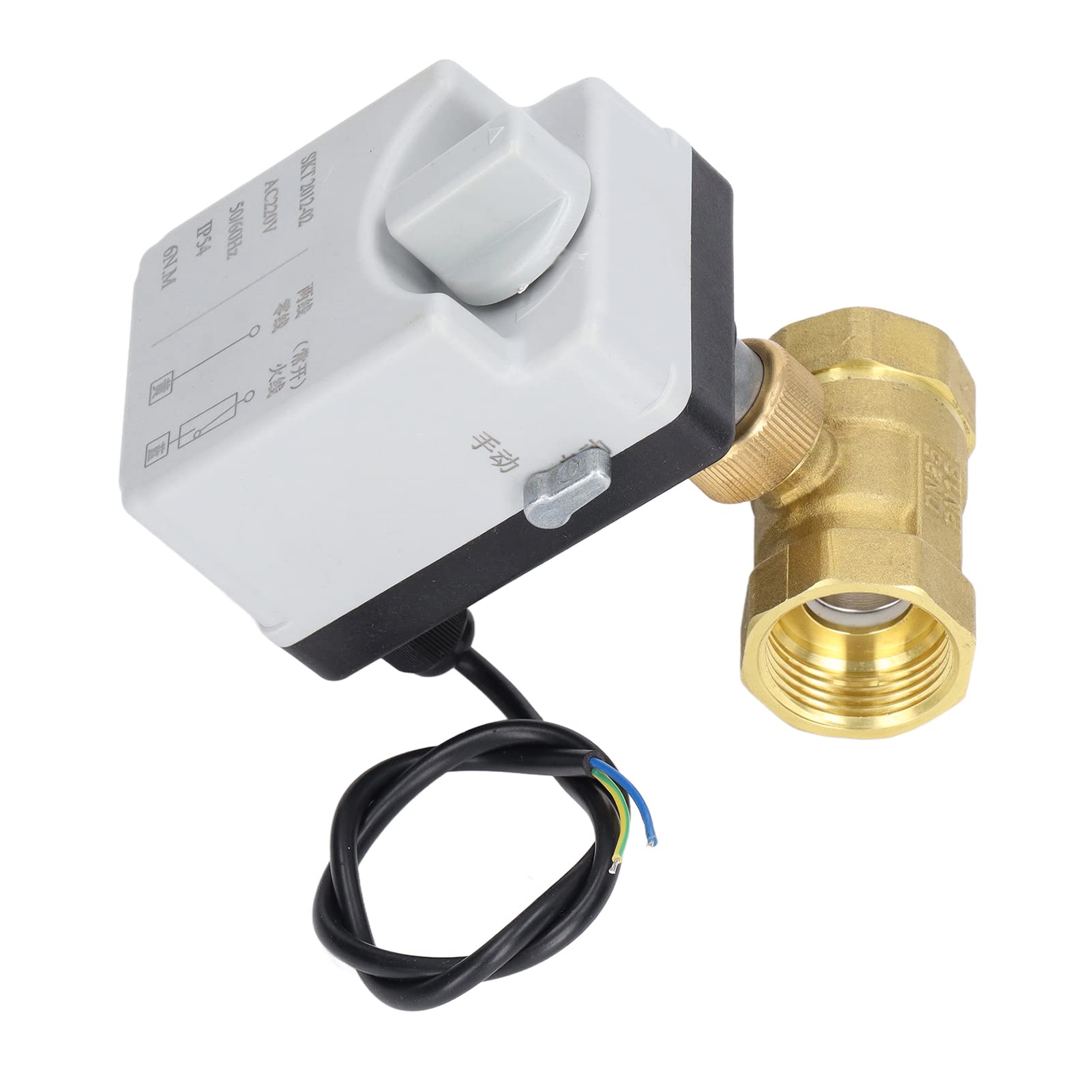 Válvula de Bola Motorizada de Latón DN25 2 Alambre 2 Vías Normalmente AC220V para el Control de Agua