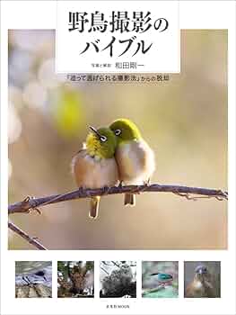 恩顧の人々 (定本 野鳥記) 野鳥記コレクション［Ⅰ］野鳥と共に | 中西 悟堂 |本 | 通販