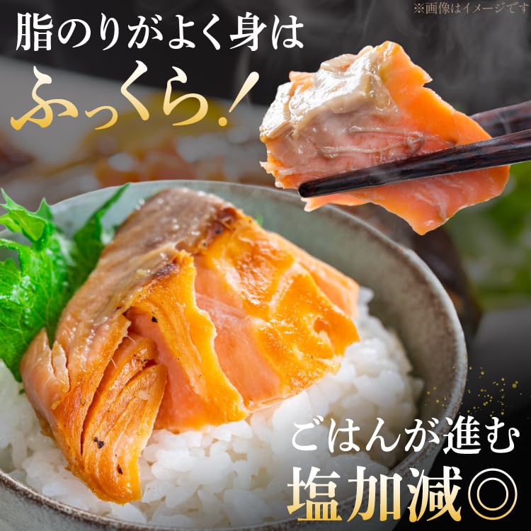 Amazon.co.jp: 宮城東洋 訳あり 銀鮭 切身 約2kg [宮城東洋 宮城県