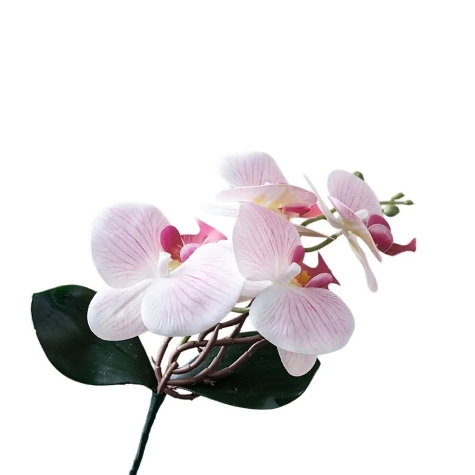LSYHHXC Artificial Orchid Vivid Artificial Moth Orchids Cloth Realistic Simulation Phalaenopsis Plants With Leaves Fake Butterfly Orchid