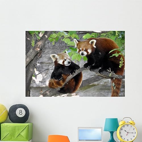 Miniatura 8 de Mural de pared de dos pandas rojos para despegar y pegar (18 pulgadas de ancho x 12 pulgadas de alto) WM281973