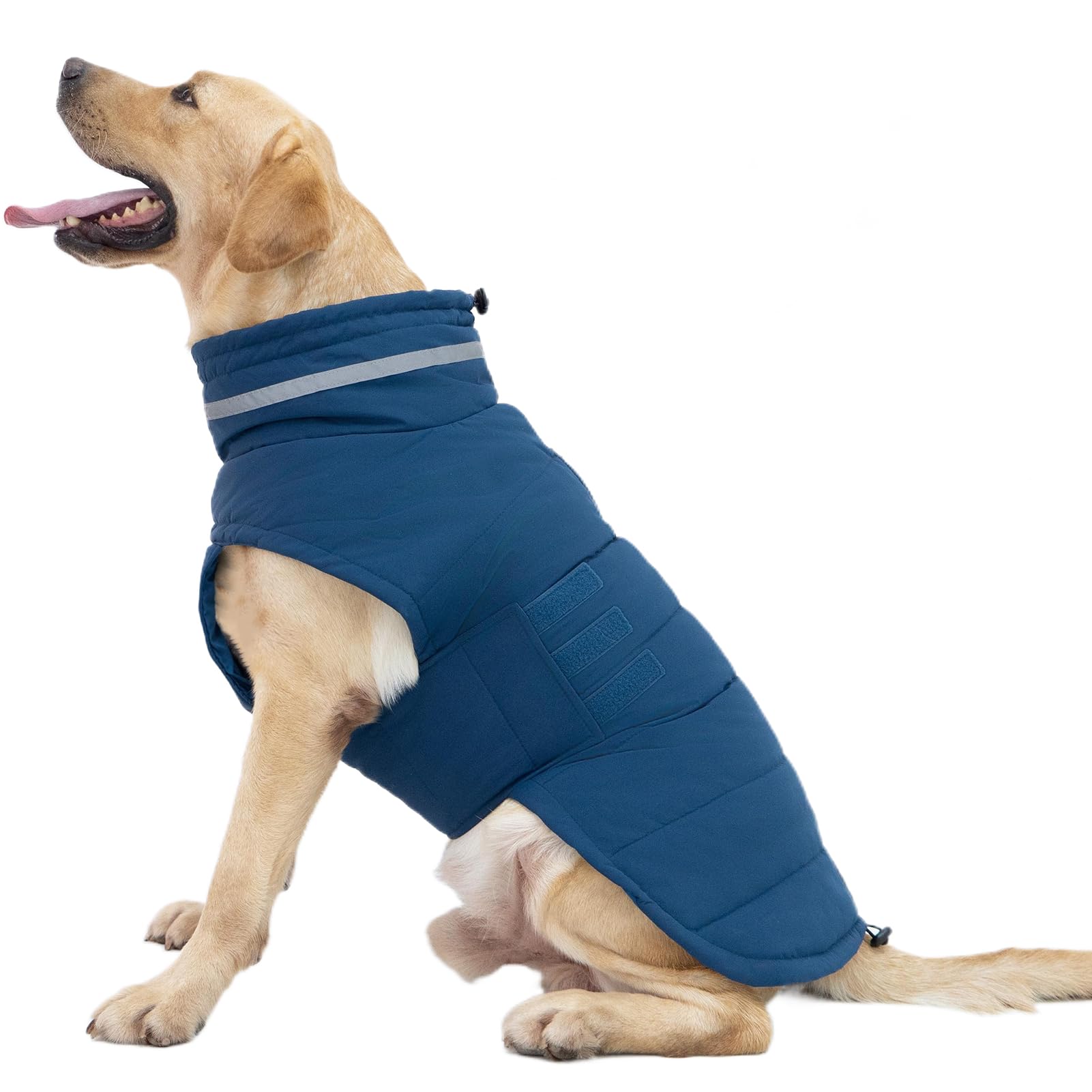 Dog Winter Coats for Large Dogs, Adjustable Dog Jacket, Blue,L