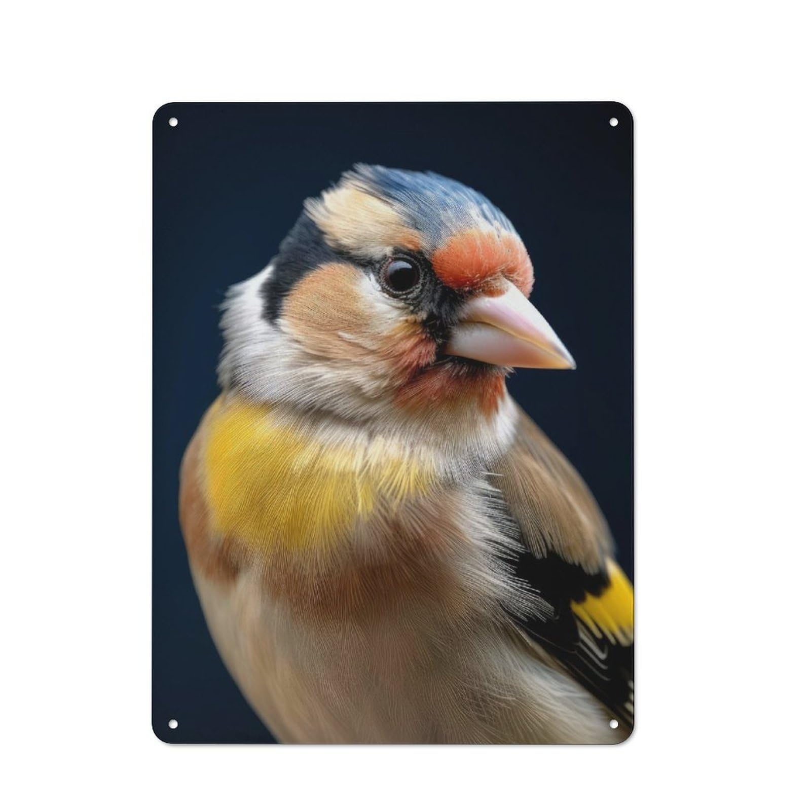 Junmoney Bird Goldfinch Closeup Tin Sign 40X30cm With For Bar Or Restaurant, Retro Decor, For Garage, Workshop And Man Cave Decoration