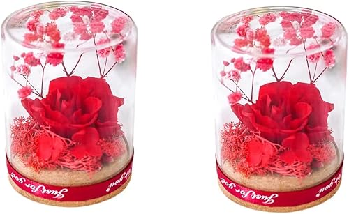 Seatdain Forever Eternal - Rosa real roja preservada en cúpula de cristal flores preservadas hechas a mano regalo para niñas mujeres mamá día de San
