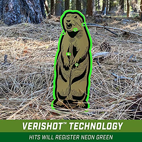 Gosports Outdoors Terrain Targets, Reactive Shooting Range Targets With Neon Green Shot Confirmation, Great For Small Calibers #TOP1